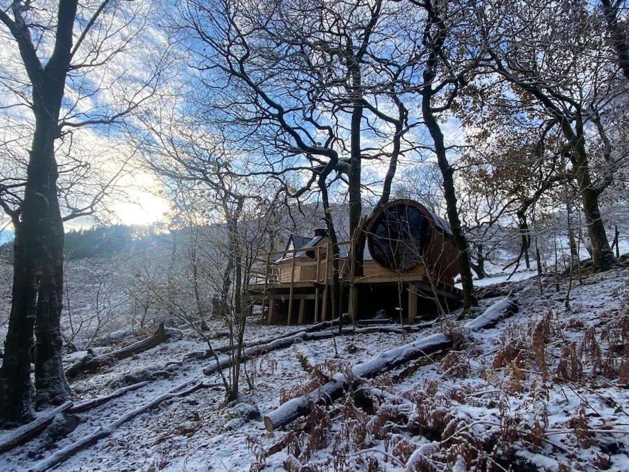 Chestnut Tree House With Hot Tub & Sauna Barmouth Exterior foto